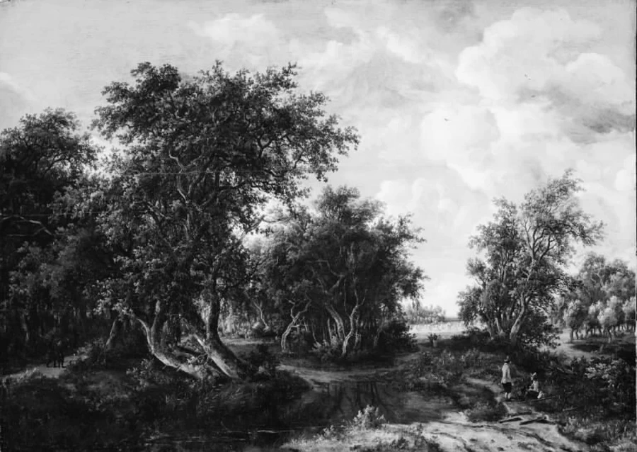 Una laghetto margini di un bosco - Statens Museum for Kunst